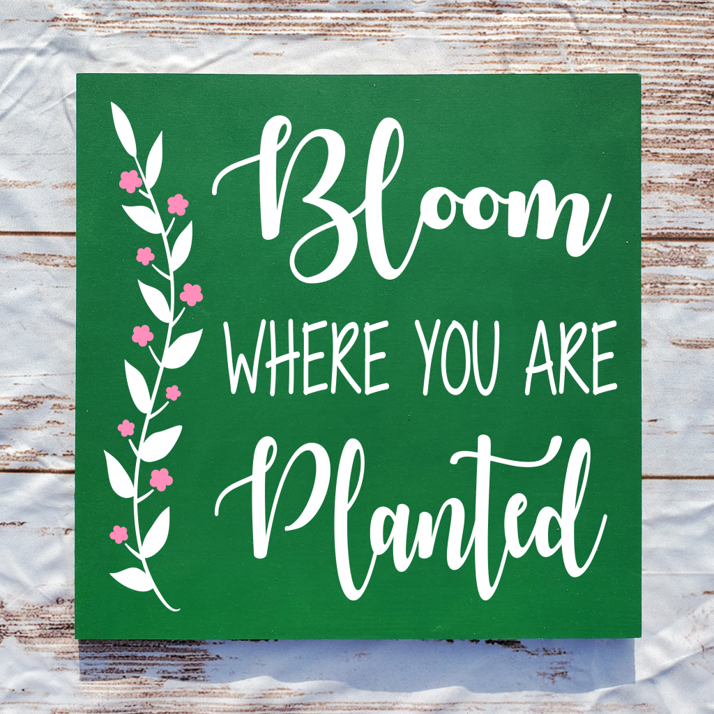 "Bloom where you are planted" on a