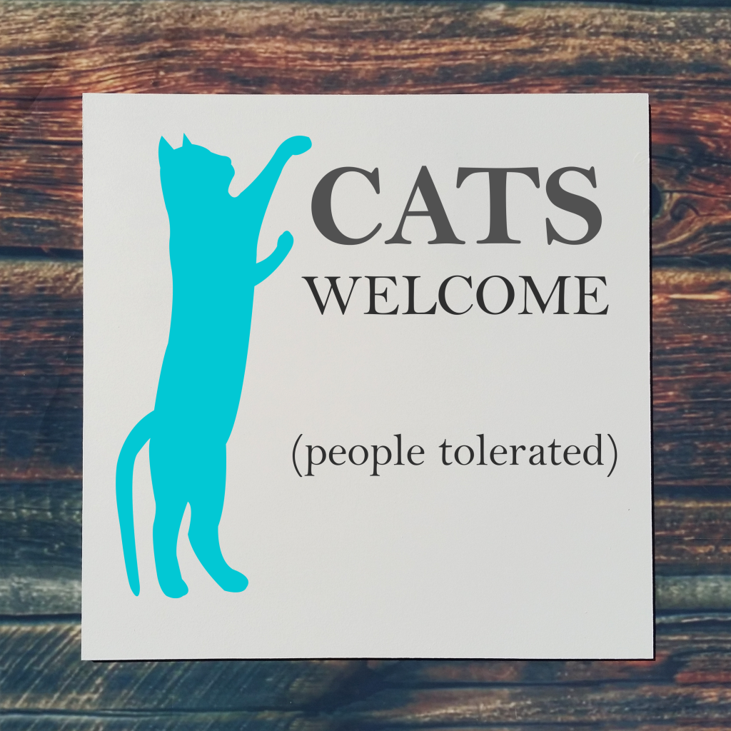 515 - Cats Welcome