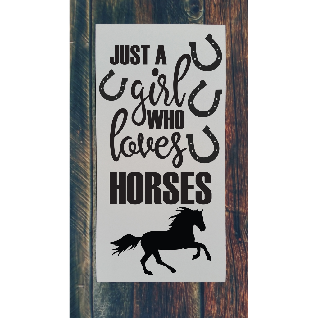 543 - Girl Who Loves Horses